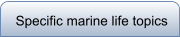 Specific marine life topics